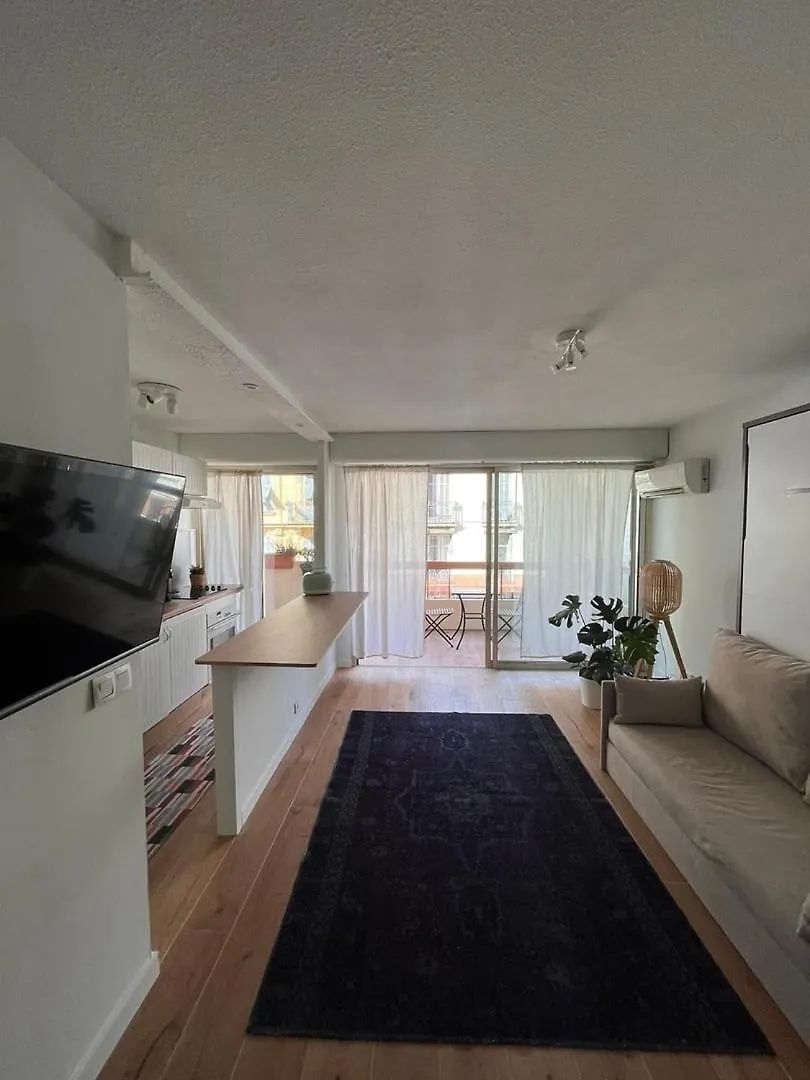 Beautiful Studio - Terrace 尼斯 公寓